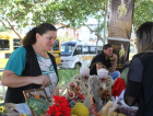 Terceira edição da Feira da Agricultura Familiar será realizada na sexta-feira