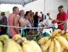 Feira da Agricultura Familiar mobiliza o Paço
