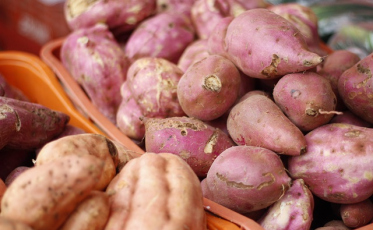 Feira da Agricultura Familiar ocorre nesta quinta no Paço