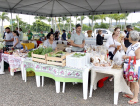 Natal é tema da Feira da Agricultura Familiar no Parque das Nações