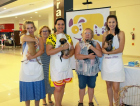 Amigos do Chico promove Feira de Adoção no Center Shopping