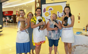 Amigos do Chico promove Feira de Adoção no Center Shopping