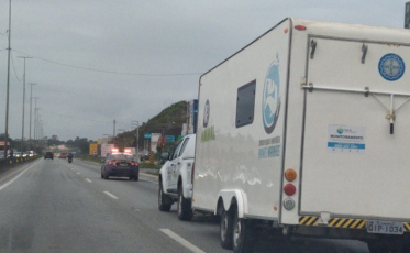 Filhote de baleia é transportado pela BR-101