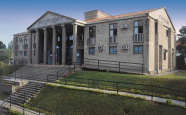 Homem é condenado por agredir cadela com cano de PVC