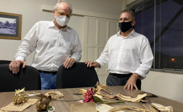 Bananicultores investem na diversificação da produção