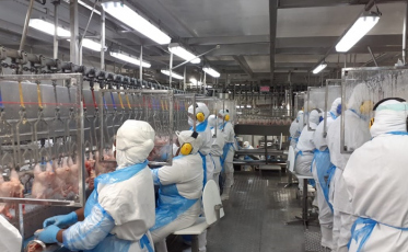 Sul contribui com os bons números da exportação de carnes do estado