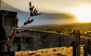 Estado projeta mínimas de até 7 graus abaixo de zero em SC