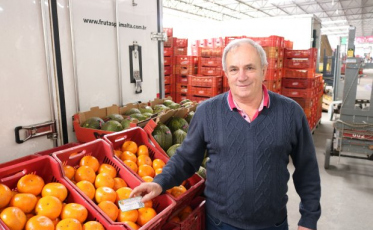 Santa Catarina implementa identificação de origem para frutas e verduras