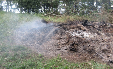 FUNDAF intensifica fiscalização contra queimadas em Forquilhinha