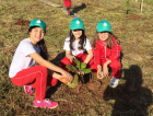 Fundai e alunos reflorestam área no bairro Liri