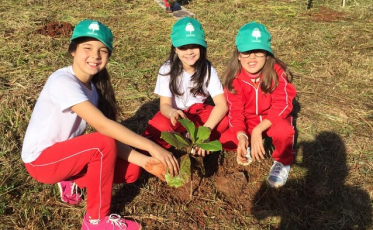 Fundai e alunos reflorestam área no bairro Liri