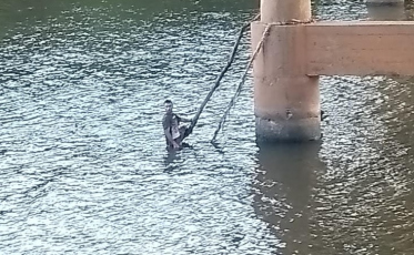 Fugitivo da PM é resgatado por bombeiros em rio