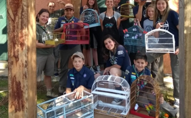 A beleza da liberdade