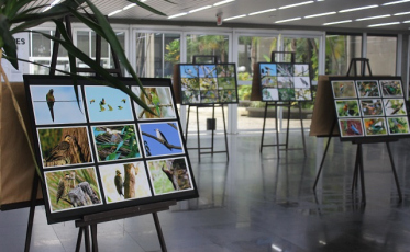 Prefeitura recebe exposição ‘Aves do Sul de Santa Catarina’