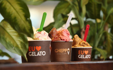 O segredo do sucesso do Grupo Ghellere: trabalho