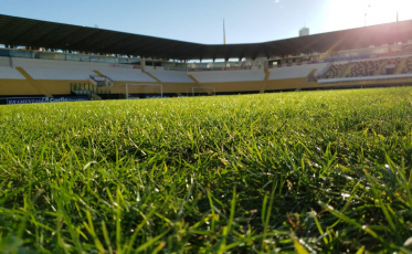 Catracas novas e gramado em dia para a volta ao Majestoso