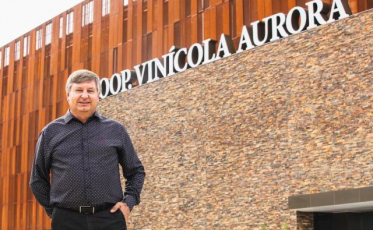 Através do cooperativismo, a maior vinícola do país