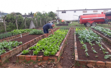 Horta Municipal abastece escolas
