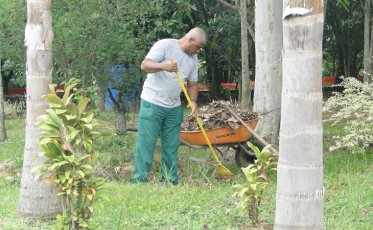 Cuidado com o meio ambiente: 55 mil mudas já foram plantadas em Criciúma
