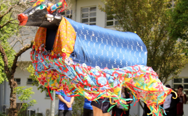 Cultura do Boi de Mamão ganha destaque na Unesc