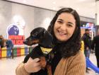 Evento promoveu interação entre pets e adoção responsável 