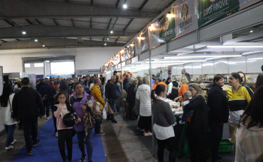 AgroPonte supera expectativas e registra grande movimentação neste sábado