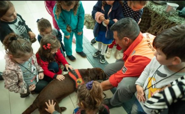 Operação Algodão Doce beneficiou 800 crianças