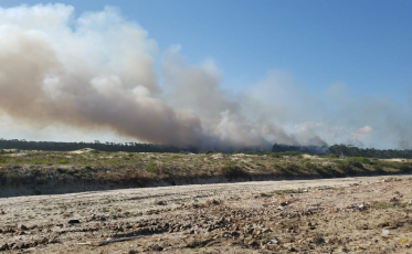 Vegetação pega fogo no Arroio do Silva