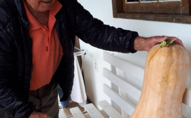 Abóbora de 23 quilos é encontrada em quintal de aposentado