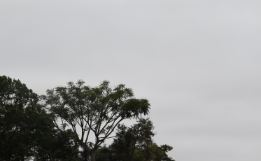 Sul de SC terá final de semana de tempo nebuloso, com risco de temporais isolados