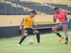 Sub-15 e sub-17 do Tigre estreiam no Catarinense 