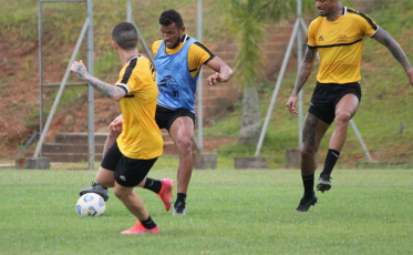 Tigre segue treinos visando a temporada