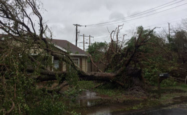 IRMA: Ficam as marcas em Boca Raton (FL)