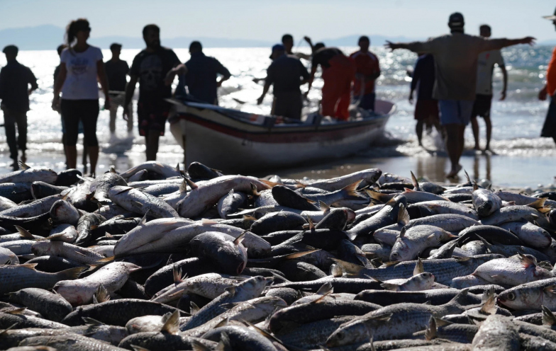 “Nos atingiu em cheio”: pescadores são barrados na melhor safra em décadas e prometem protesto