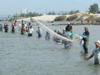 Após mais de 20 anos de espera, pesca artesanal do camarão ganha regulamentação histórica em SC