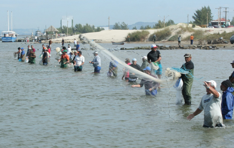 Após mais de 20 anos de espera, pesca artesanal do camarão ganha regulamentação histórica em SC
