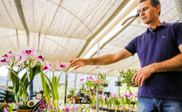 Agricultura contribui para crescimento econômico de Içara
