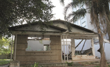 Mais fiscalização, menos abandonos