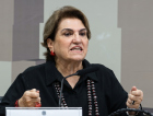 SC ainda não aderiu a pacto nacional contra feminicídio, diz ministra das Mulheres