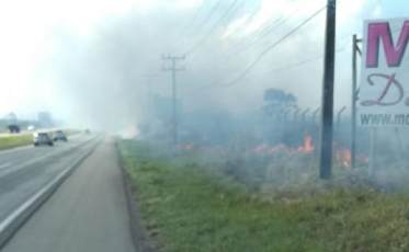 Fogo em vegetação e fumaça na BR-101