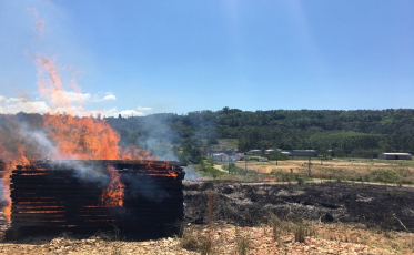 “A maioria das causas de incêndio são ações humanas diretas”, diz bombeiro