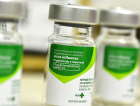Influenza: Mais 304 mil doses para Santa Catarina