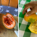 O hobby que transformou sítio de SC em museu vivo de mais de 2 mil frutas raras