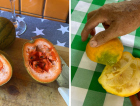 Colecionador de Meleiro preserva frutas raras de 120 países em acervo gigante