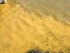 Manchas na água ligam alerta sobre esgoto na Lagoa dos Esteves
