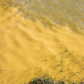 Manchas na água ligam alerta sobre esgoto na Lagoa dos Esteves