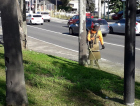 São 120 quilômetros de ruas limpas por mês (VÍDEO)