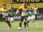 FCPlay em todo o Campeonato Catarinense