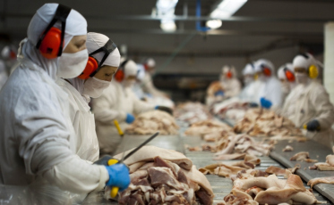 Em setembro, exportações catarinenses têm maior resultado para o mês em 25 anos