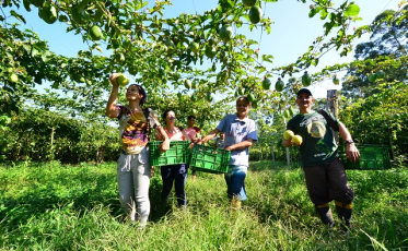 Seminário em Sombrio discute cultivo do maracujá